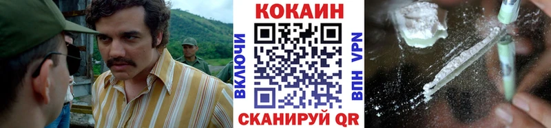 COCAIN Fish Scale  Терек 