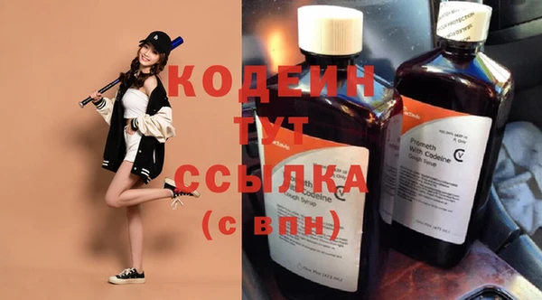 apvp Няндома