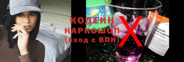 хмурый Аркадак