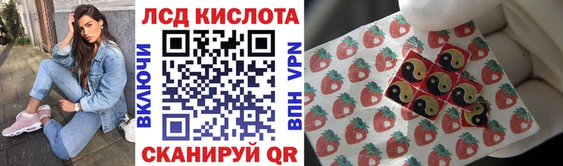 Марки N-bome 1500мкг  дарнет шоп  Терек 